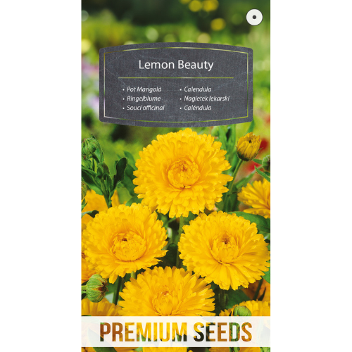 Marigold - Lemon Beauty