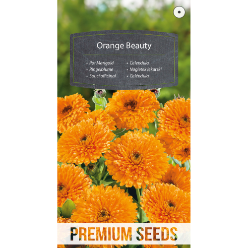 Marigold - Orange Beauty
