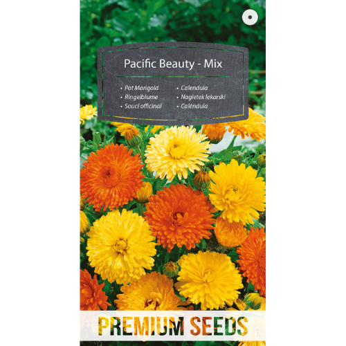 Marigold - Pacific Beauty