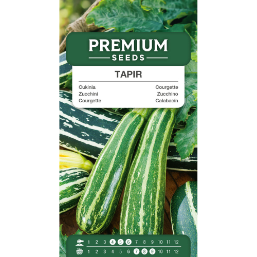 Squash - Tapir