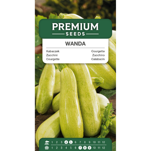 Squash - Wanda