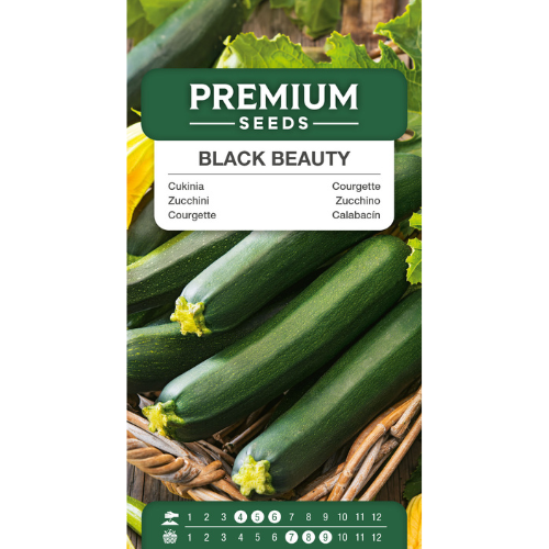 Zucchini - Black Beauty