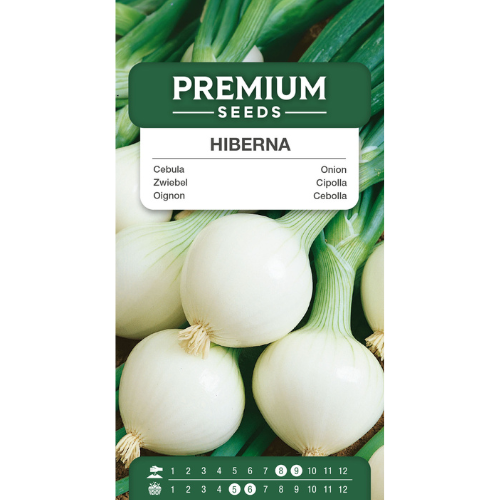 Onions - Hibernate