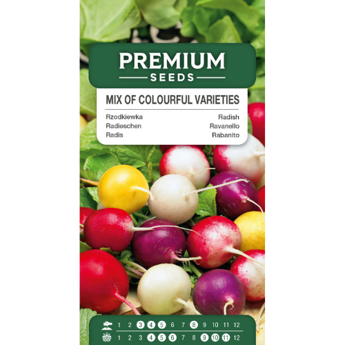 Radishes - Mix of Colorful Varieties