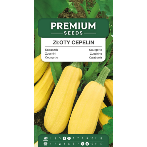 Squash - Golden Cepelin