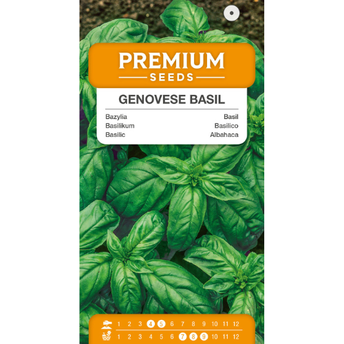 Basil - Genovese