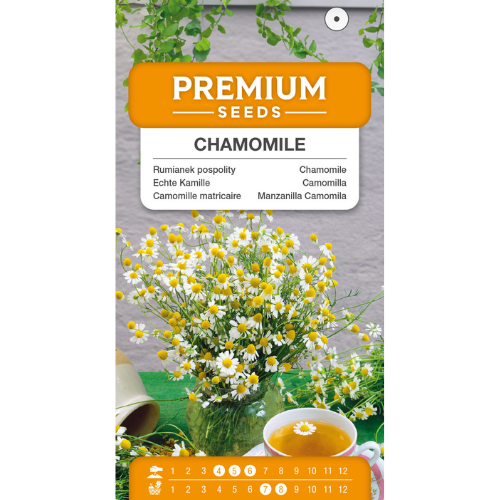 Chamomile