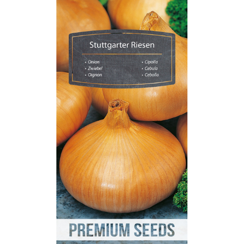 Onion - Stuttgart Giant