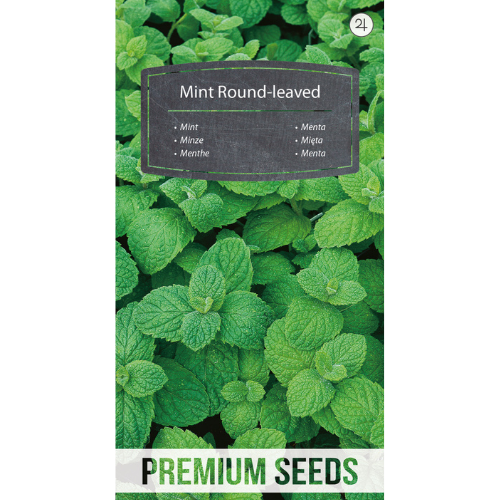Mint - Round-Leaved