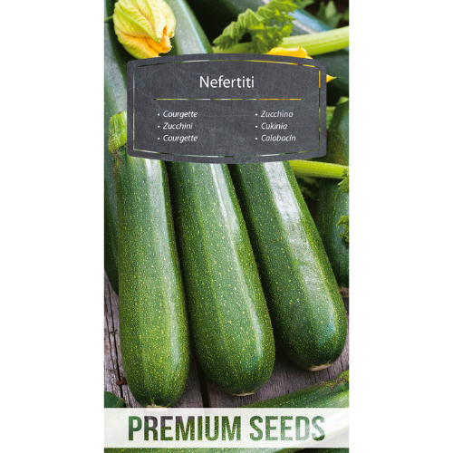 Squash - Nefertiti