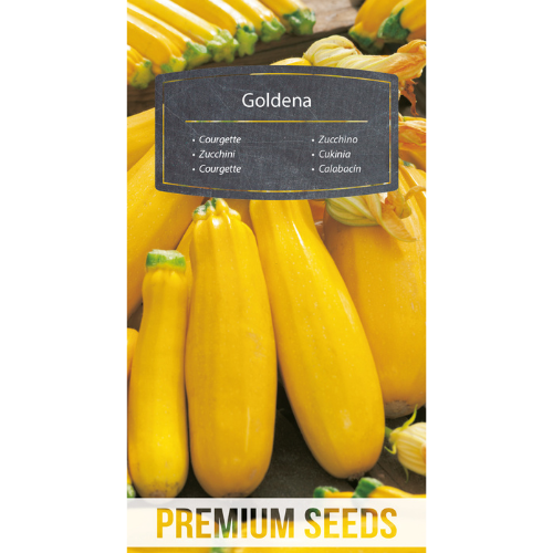 Squash - Golden