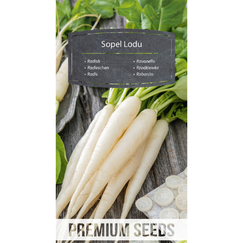 Radish - Sopel Lodu