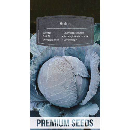 Red cabbage - Rufus