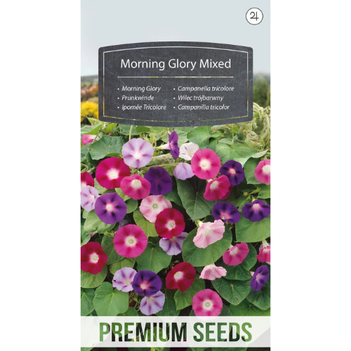 Blomman för dagen Mixed