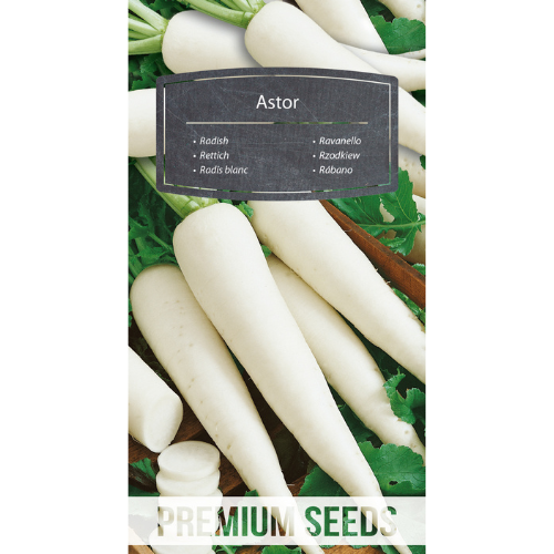 Radish - Astor