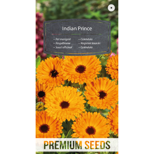 Ringblomma - Indian Prince