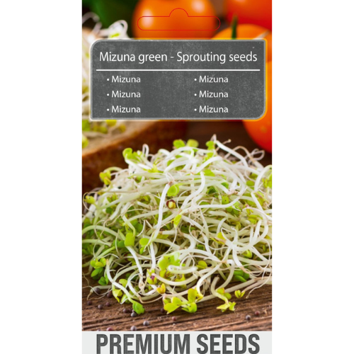 Sprouted seeds - Mizuna
