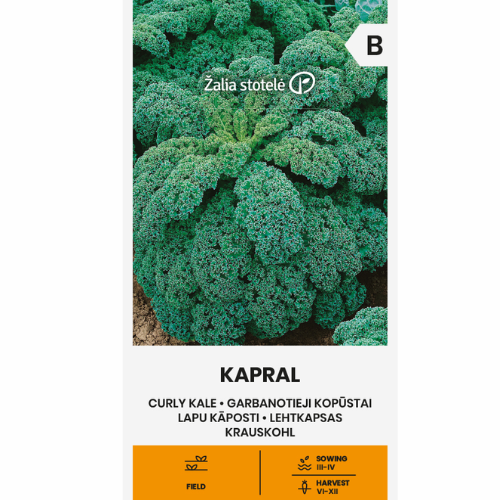 Kale - Corporal