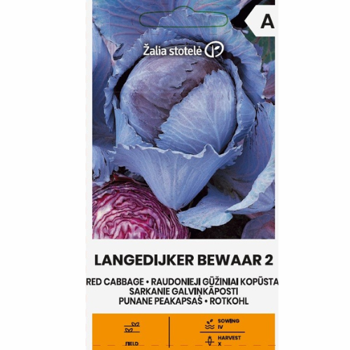 Rödkål - Langedijker Bewaar 2