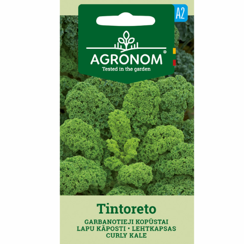 Kale - Tintoreto