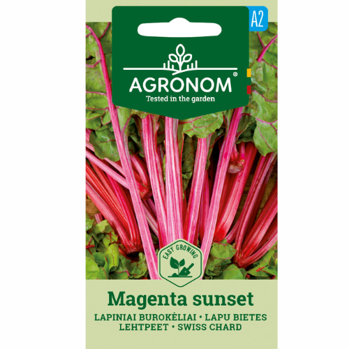Swiss chard - Magenta Sunset