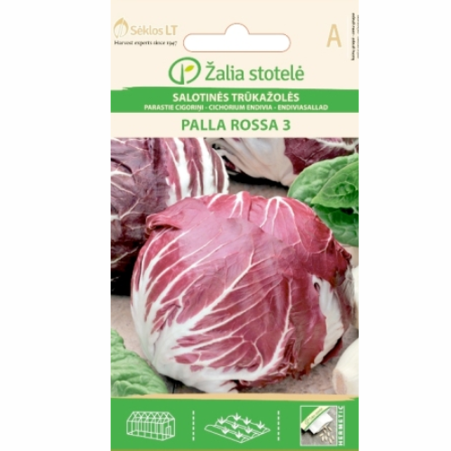 Italiensk Cikoria - Palla Rossa 3