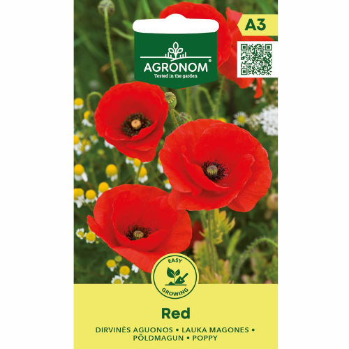 Poppy - Red
