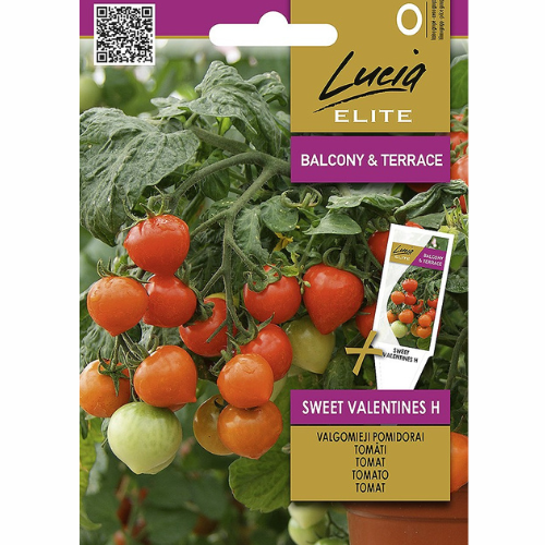 Tomato -Sweet Valentines F1