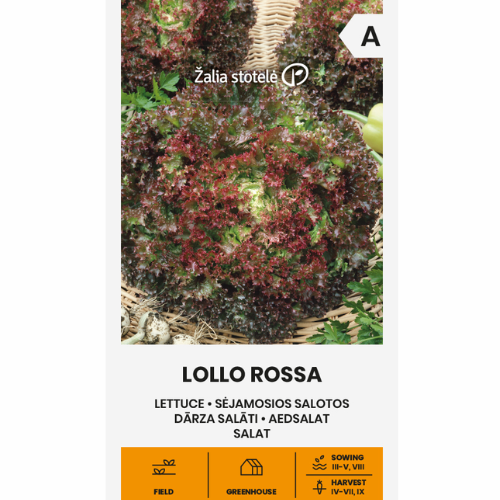 Sallat - Lollo Rossa
