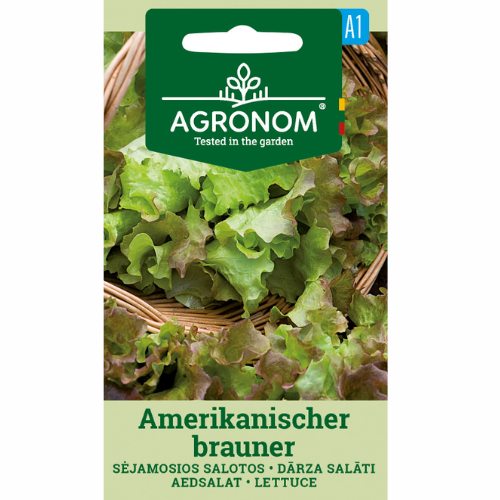 Sallat - Amerikanischer Brauner