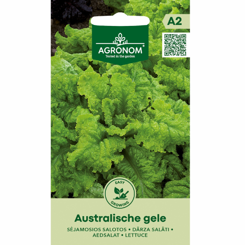 Lettuce - Australian Jelly