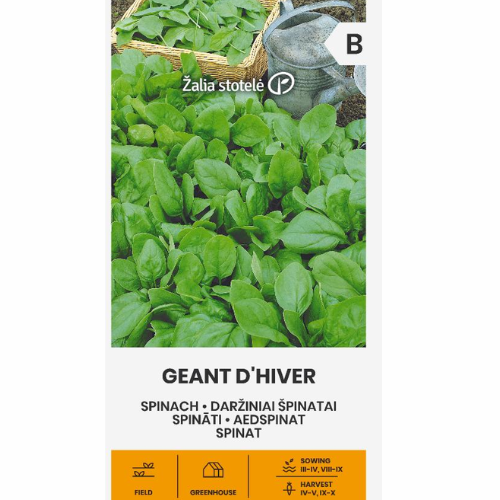 Spenat - Géant d&