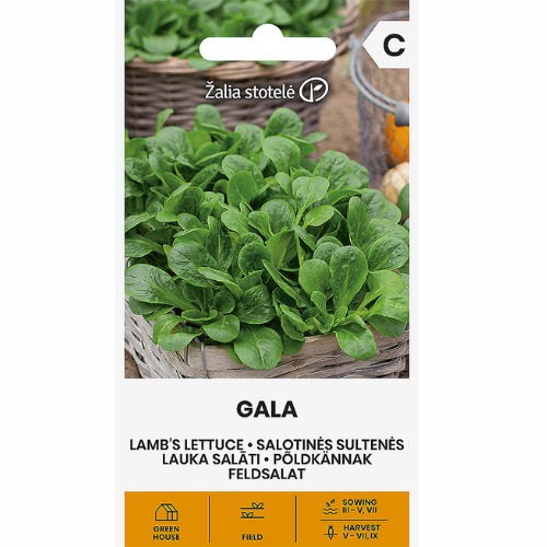 Mashed salad - Gala