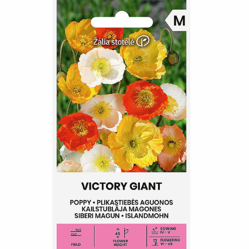 Vallmo - Victory Giant