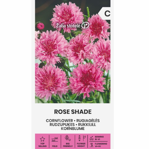 Cornflower - Rose Shade