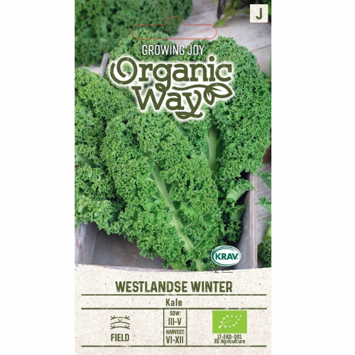 Organic Kale - Westlandse Winter