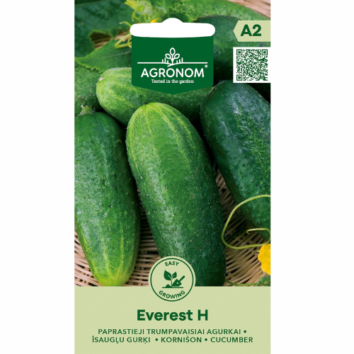 Pickling cucumber - Everest F1