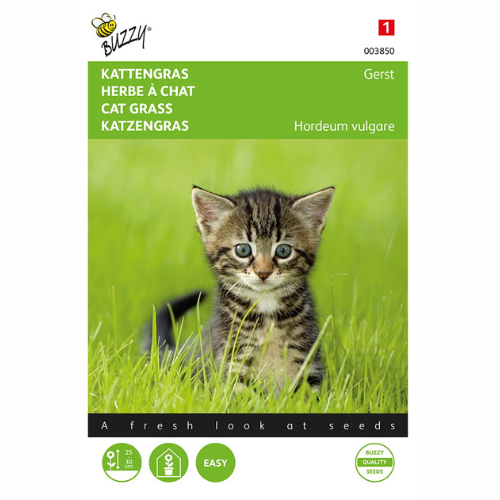 Catnip - Barley