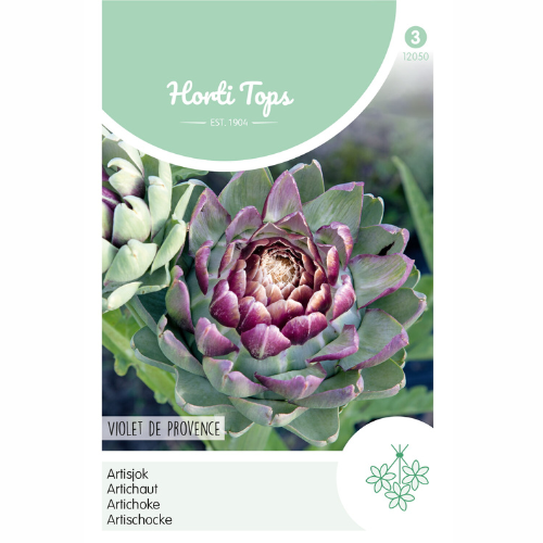 Artichoke - Violet de Provence