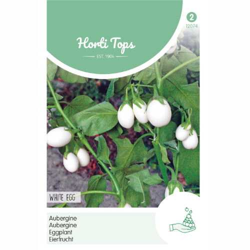 Aubergine - White Eggs