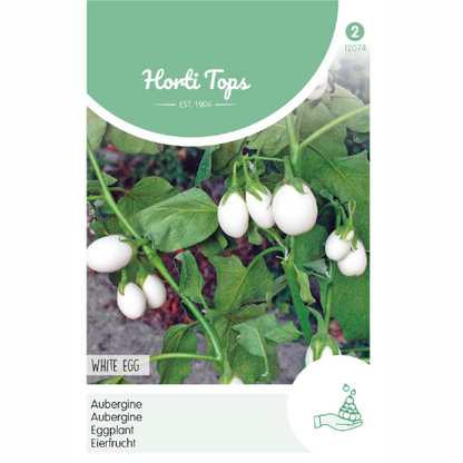 Aubergine - White Eggs