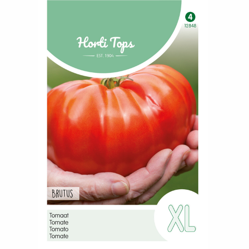Tomato - Brutus
