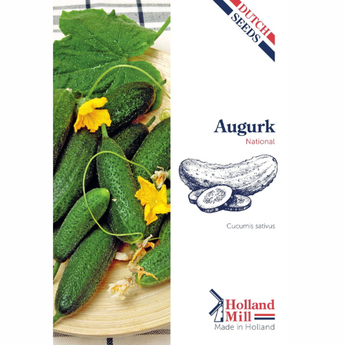 Pickled cucumber - Paris