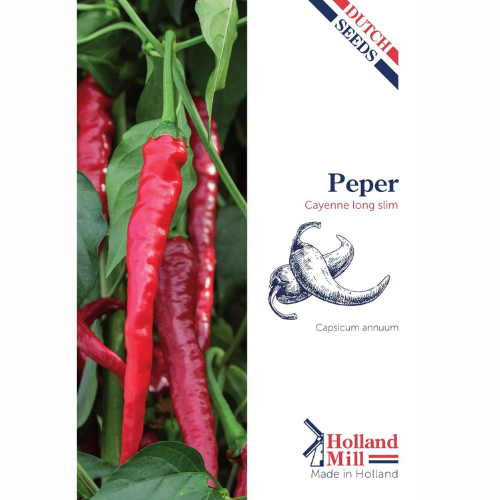 Chili pepper - Cayenne Long Slim