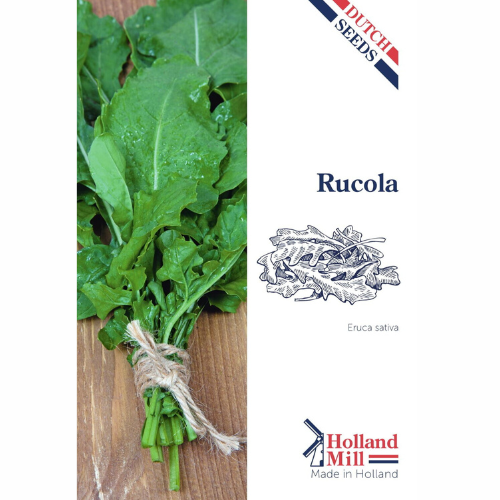 Wild arugula