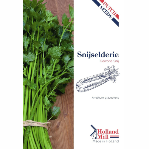 Celery - Gewone Snij