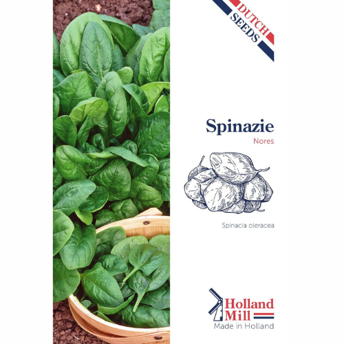 Spinach - Nores (Viking)