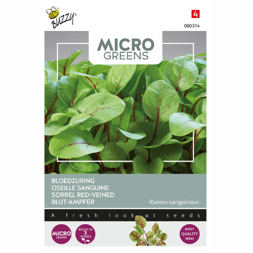 Microgreens - Acid Red Veined