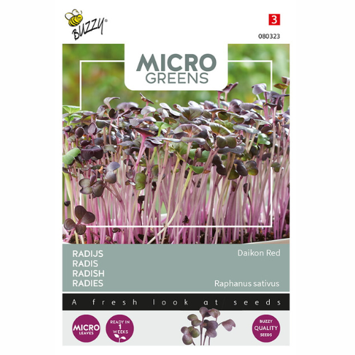 Microgreens - Rädisa Daikon Red