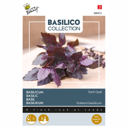 Basil - Dark Opal